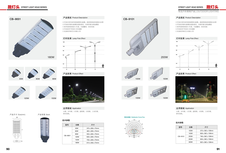 LED市电路灯 LS-651