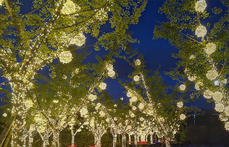 LED装饰彩灯ST-GJ-968